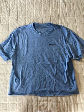 Patagonia Light Blue Short-Sleeve Logo Tee